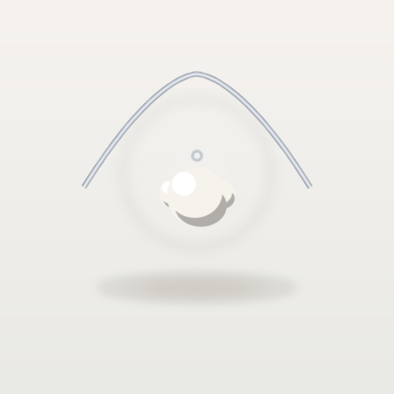 조개 & 진주 목걸이 (Ocean Shell) 상세